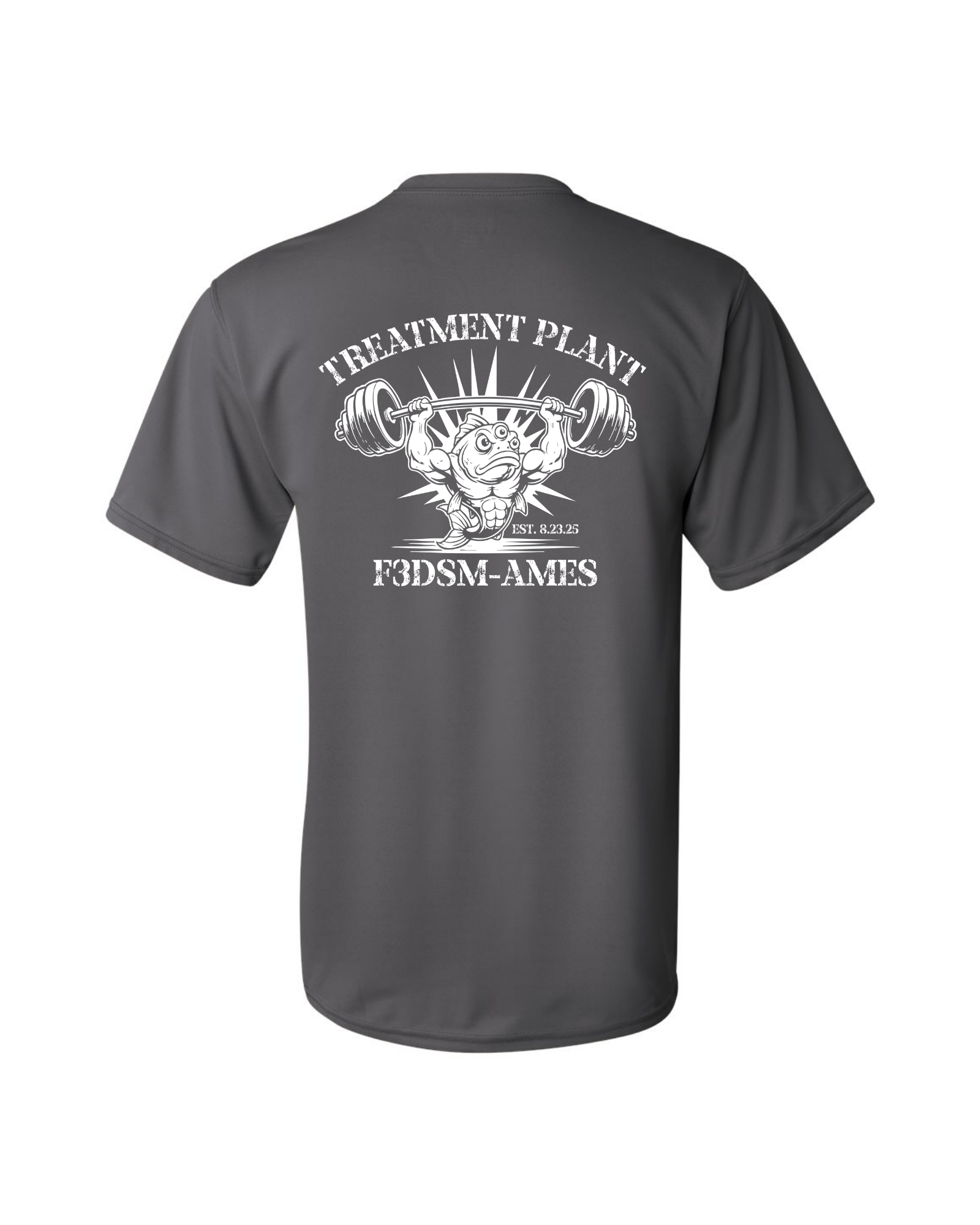 F3 DSM Treatment Plant Performance Tee