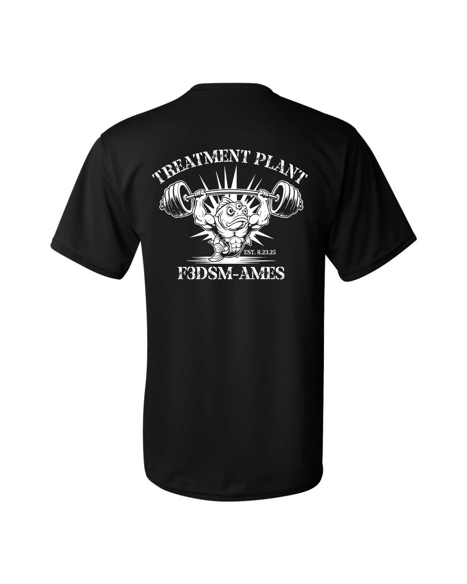F3 DSM Treatment Plant Performance Tee